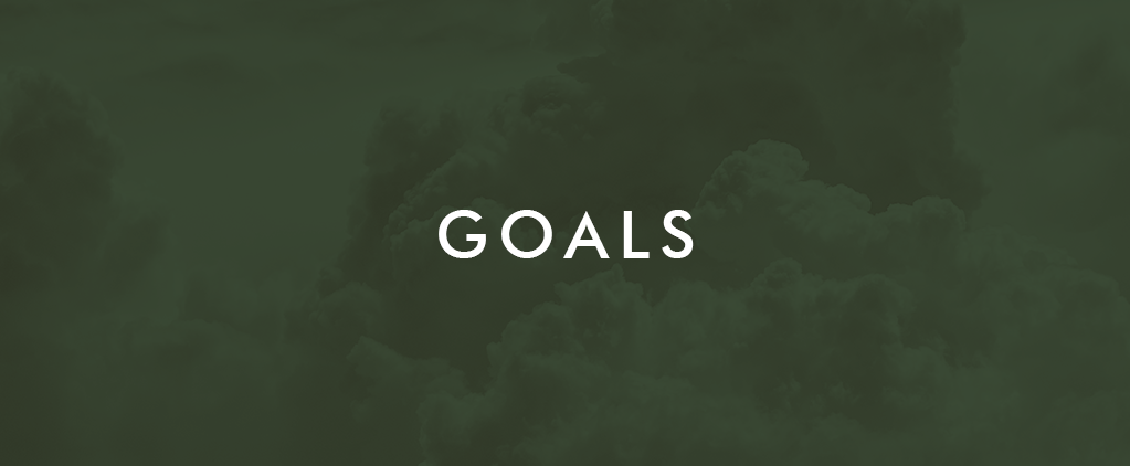Week 17 Goals