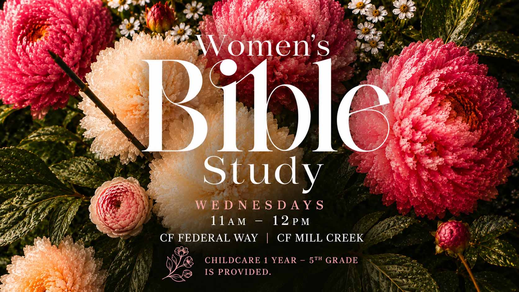 Women’s Bible Study 16×9